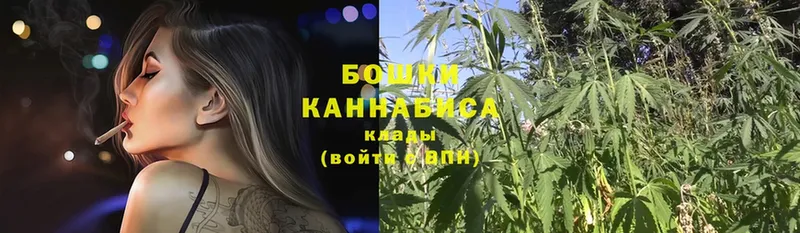 как найти   Лениногорск  Каннабис OG Kush 